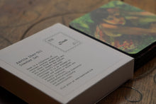 Load image into Gallery viewer, The Women of Amrita Sher-Gil - Daak Coaster Set of 4 Paintings