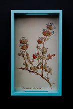 Load image into Gallery viewer, Daak Floral Tray - In Blue