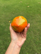 Load image into Gallery viewer, Kamal Kumar's Clay Toys - Papaya Piggy Bank ( Gullak )