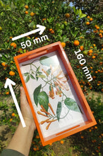 Load image into Gallery viewer, Daak Floral Tray - In Orange