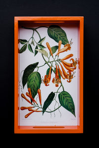 Daak Floral Tray - In Orange