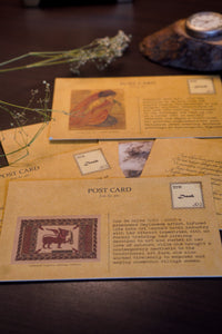 Daak Postcard Box - Women's Stories from the Subcontinent