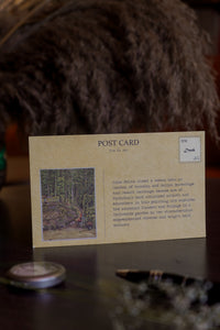 Daak Postcard Set - On Nature