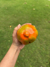 Load image into Gallery viewer, Kamal Kumar's Clay Toys -  Papaya Piggy Bank ( Gullak )
