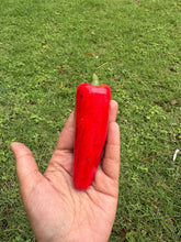 Load image into Gallery viewer, Kamal Kumar's Clay Toys - Red Chili
