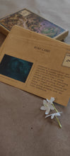 Load image into Gallery viewer, Daak Diwali Box
