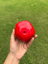Load image into Gallery viewer, Kamal Kumar's Clay Toys - Pomegranate Piggy Bank ( Gullak )
