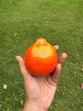 Load image into Gallery viewer, Kamal Kumar's Clay Toys - Oranges
