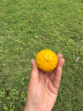 Load image into Gallery viewer, Kamal Kumar's Clay Toys - Lemon
