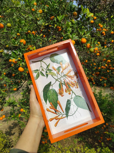 Daak Floral Tray - In Orange